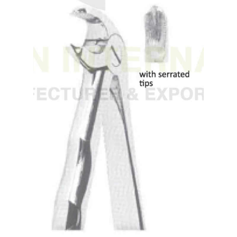 EXTRACTING FORCEPS With Anatomicall